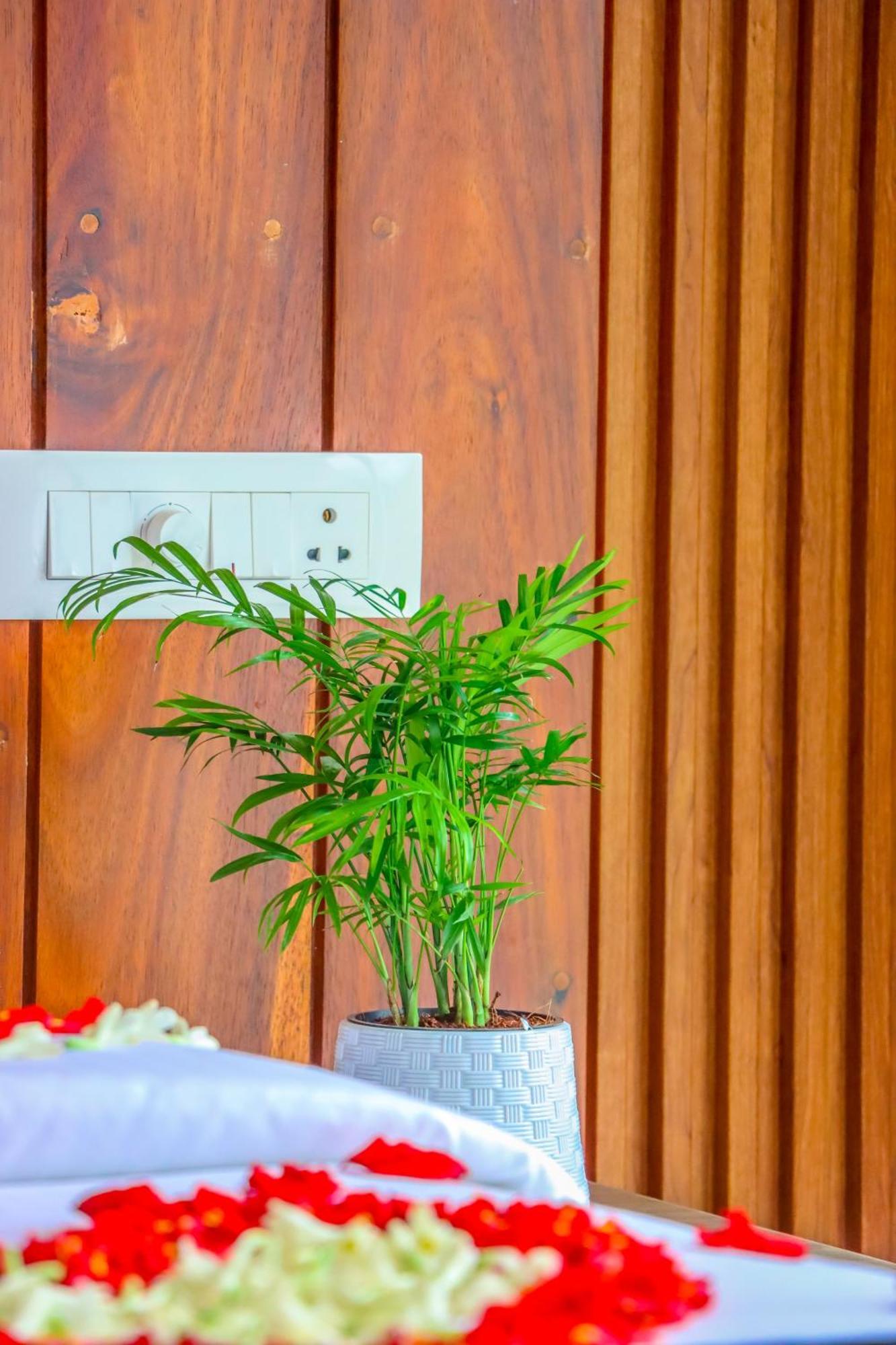 Winter Note Resorts 蒙纳 外观 照片